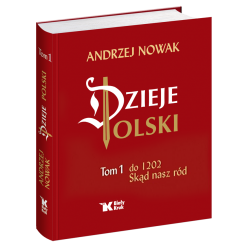 Dzieje Polski. Tom 1. Do...
